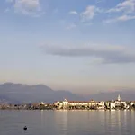 Vignolo